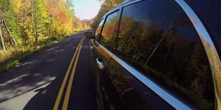 近距离观察:一辆黑色汽车在阳光明媚的秋天里穿过五颜六色的秋天森林