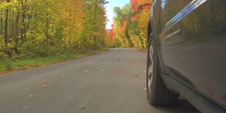 特写:在阳光明媚的秋天，越野车轮胎行驶在空旷的森林道路上