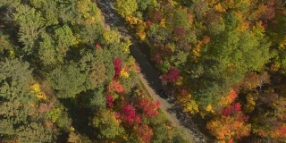 空中俯瞰:越野车行驶在美丽多彩的秋天森林的空旷道路上