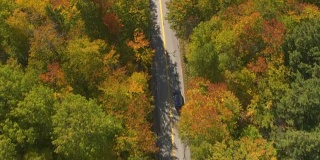 航拍:越野车在树叶偷窥公路上行驶，穿过五彩缤纷的秋天森林