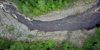 夏季北方自然森林和河流鸟瞰图