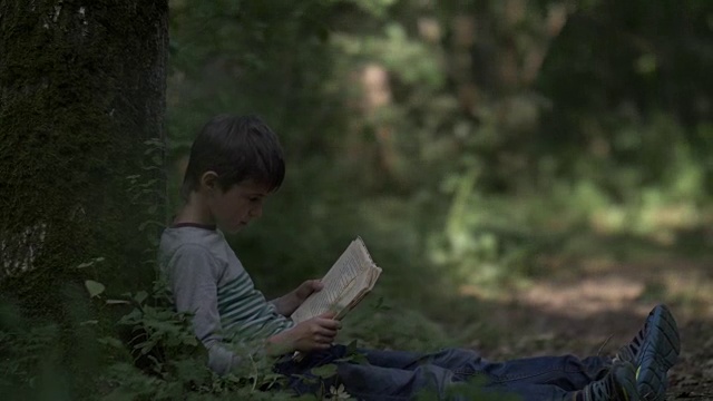男孩坐在森林里的一棵树旁边看书