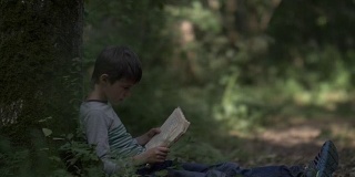 男孩坐在森林里的一棵树旁边看书