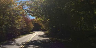 POV LENS FLARE:在阳光明媚的秋日里，驾车穿越美丽多彩的森林