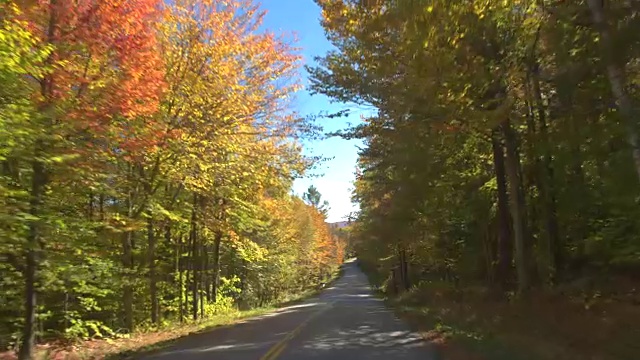 POV LENS FLARE:在阳光明媚的秋日里，驾车穿越美丽多彩的森林