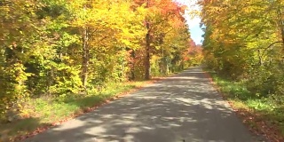 POV:在秋天阳光明媚的日子里，开车经过秋天森林里令人惊叹的彩色树木