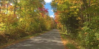 慢镜头POV:在阳光明媚的秋日，驾车穿过美丽多彩的森林