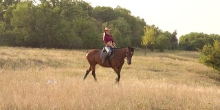 奢华性感的女孩在日落的田野骑马。