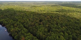 马斯科卡-追踪从河流到小屋再到森林