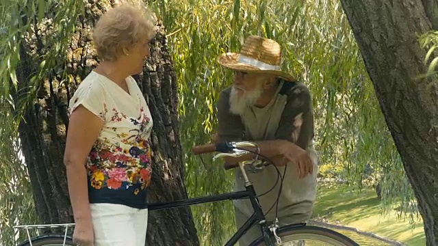 老婆婆和老爷爷在公园的柳树下聊天