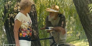 老婆婆和老爷爷在公园的柳树下聊天