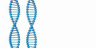 蓝色的DNA分子在白色背景上旋转。三维渲染