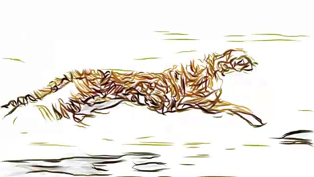 猎豹奔跑铅笔画卡通动画无缝无尽的循环新品质独特的手工动态快乐多彩的视频动物猫的镜头