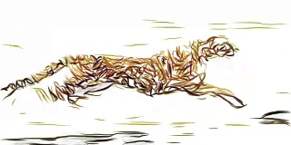猎豹奔跑铅笔画卡通动画无缝无尽的循环新品质独特的手工动态快乐多彩的视频动物猫的镜头