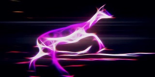 闪电能量羚羊奔跑在霓虹灯森林中，无缝无尽的循环，全新的品质，独特的手工动画动画动态快乐的视频片段