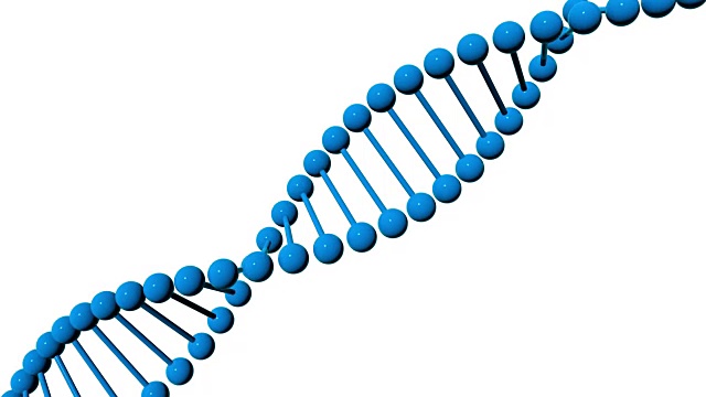 DNA分子在白色背景上旋转分离。三维渲染