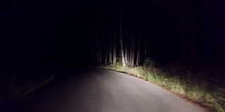 在黑暗的森林里的乡村道路上的夜间驾驶。4 k