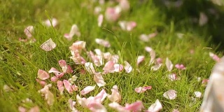 十几岁的欧洲女孩在一个快乐的夏天用粉红色和白色的花做一个温柔的花的成分