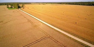 又宽又大的谷地，上面还堆着干草