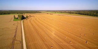 爱沙尼亚有两块巨大的农业用地