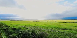 冰岛的农牧用地，慢镜头