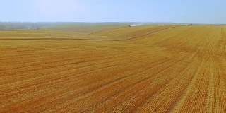 鸟瞰图的小麦作物收获在巨大的田野在全高清