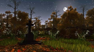 阴森的暗夜森林里的古老墓碑视频素材模板下载