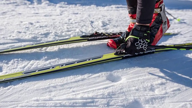 越野滑雪者走到他的滑雪板上，把它们绑好