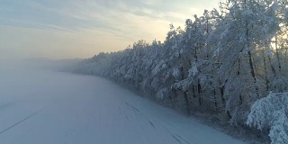 镜头:冬日里，白雪覆盖的森林和薄雾笼罩的空地后面，金色的日出