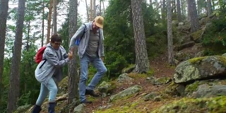 一对活跃的老年夫妇在北部森林的岩石上攀岩