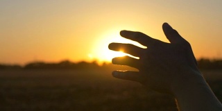 手在日落时分。在阳光下，一个男人的手从车窗伸出