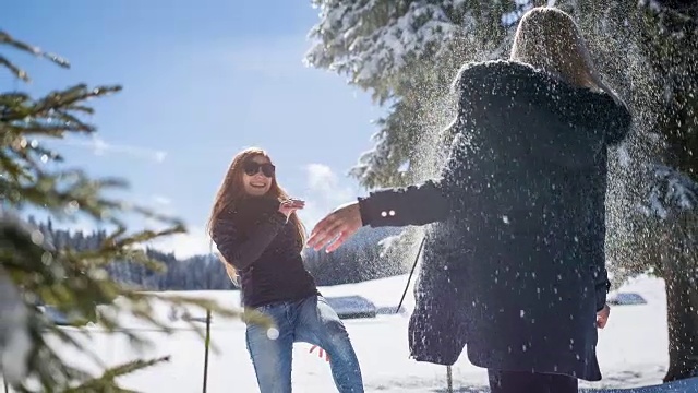 朋友们在一个阳光明媚的冬日里玩雪