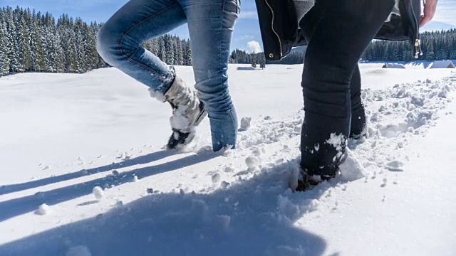 在阳光明媚的冬日里在雪地里徒步旅行