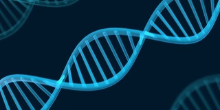 未来的旋转DNA链。基因工程科学背景。