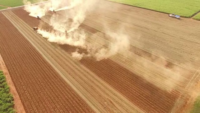 花生种植园鸟瞰图