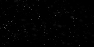 飘落的真正的雪花，大雪，暴风雪天气，拍摄在黑色的背景