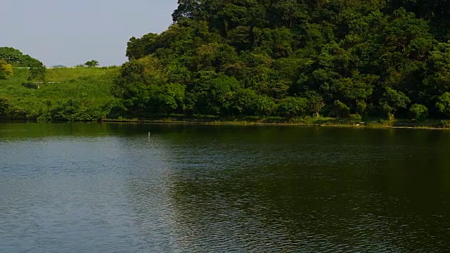 香港的野生湖泊