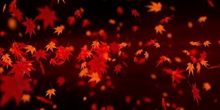 秋叶旋转，枫叶，CG动画，循环