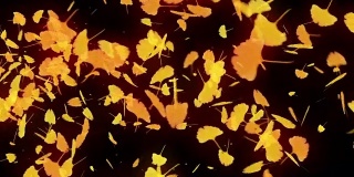 秋叶旋转，银杏，CG动画