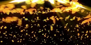 秋叶旋转，银杏，CG动画