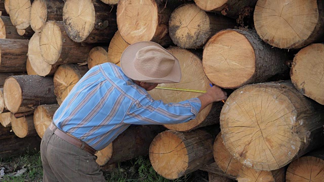 锯木厂工人测量躺在堆上的原木的厚度
