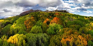 Kebler Pass秋天的颜色和山景