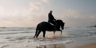 一位短发的中年妇女在海边小心翼翼地骑着黑马。缓慢的运动。海滩上的秋日日出或日落。美丽的景色