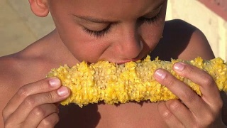 饥饿的难民小男孩正在吃玉米棒子。注意煮熟的玉米视频素材模板下载