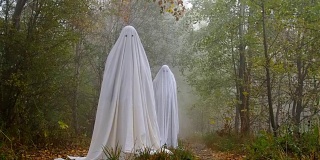 树林里有两个可怕的鬼魂