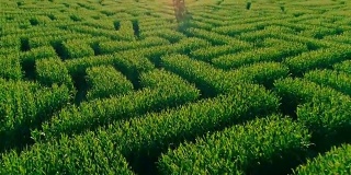无人机拍摄的宾夕法尼亚州波科诺斯地区巨大的万圣节玉米迷宫的空中全景视频