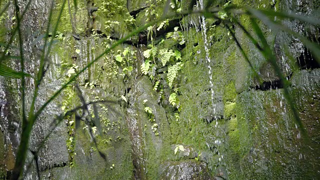 热带雨林中的热带瀑布。水滴落在石头上，水滴落在石头上。