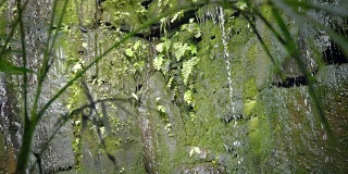 热带雨林中的热带瀑布。水滴落在石头上，水滴落在石头上。