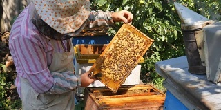 养蜂人从蜂箱中取出一箱蜂蜜。