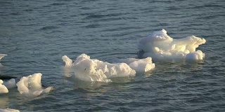 格陵兰岛的冰山漂浮在北冰洋上